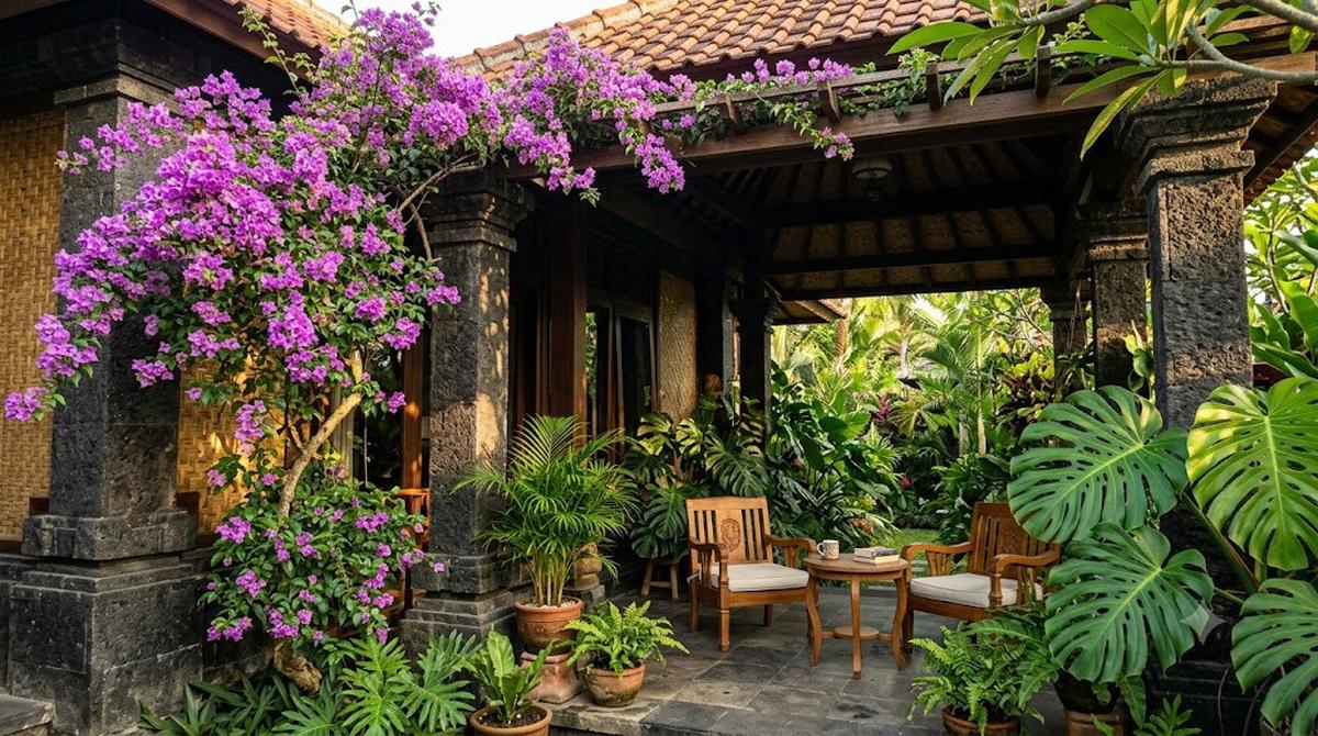 Ide Teras Rumah dengan Bougenville dan Batu Alam