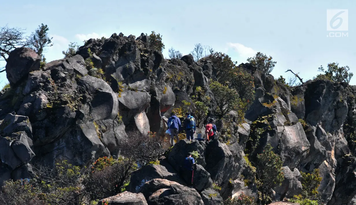 Pendaki memanjat tebing bebatuan saat perjalanan menuju Puncak Rajawali di Wonosobo, Jawa Tengah (3/4). (merdeka.com/Iqbal S. Nugroho)
