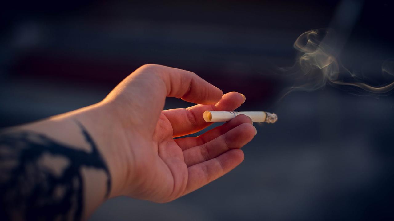Perbedaan Nikotin dan TAR pada Rokok, Berikut Penjelasan Akademisi IPB