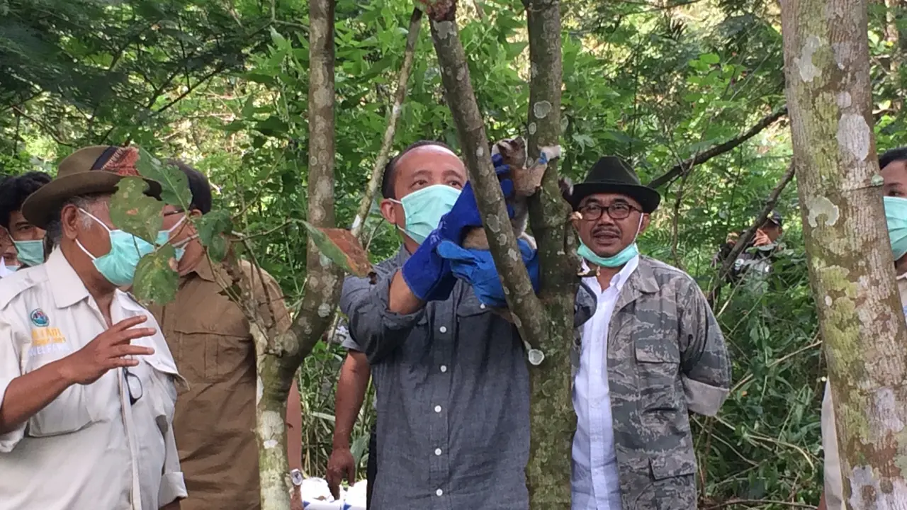 Pelepasliaran Kukang Jawa di Gunung Ciremai