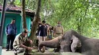 Berkah Bagi Satwa Medan Zoo, Terima Bantuan di Tengah Pandemi COVID-19