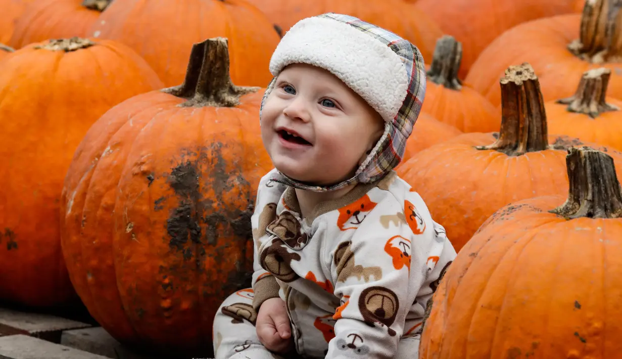 Seorang bayi berpose untuk difoto bersama labu di sebuah festival labu, atau dikenal sebagai Pumpkinfest, di Lincolnshire, Illinois, Amerika Serikat (AS), pada 17 Oktober 2020. Belakangan ini, banyak kota di Illinois menggelar festival labu menjelang perayaan Halloween. (Xinhua/Joel Lerner)