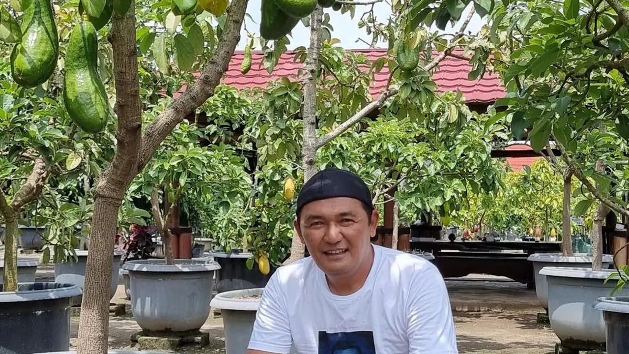 Dulu Miskin Tak Punya Rumah, Pria Kediri Ini Sukses Jadi Juragan Tabulampot Pembelinya dari Seluruh Indonesia