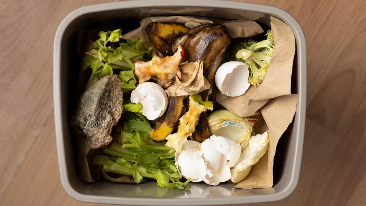 12 Cara Menghilangkan Bau Sampah Dapur Meski Belum Dibuang agar Dapur Tetap Nyaman