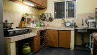 7 Bagian Rumah yang Perlu Diperiksa ketika Banyak Serangga Bersayap Muncul