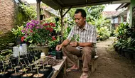 10 Cara Memperbanyak Bougenville dari Batang Tanpa Grafting