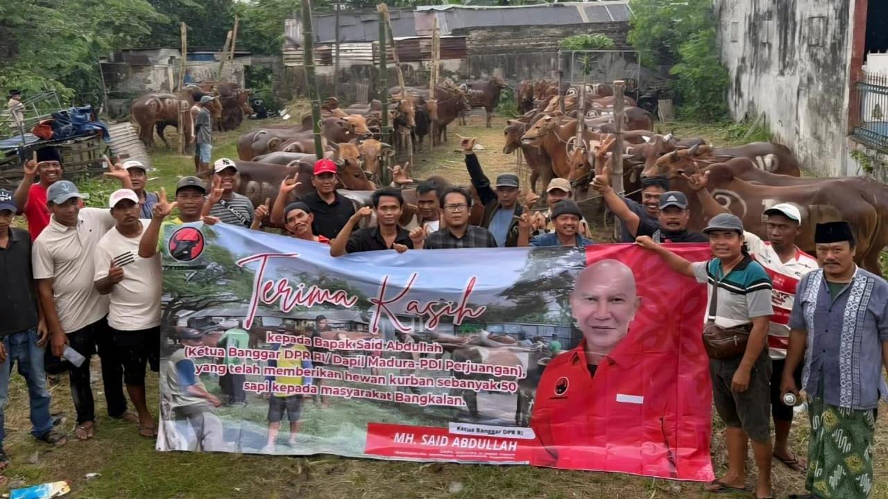Genjot Gotong Royong, PDIP Bagikan 485 Sapi Kurban ke Pondok Pesantren hingga Panti Asuhan di Jatim