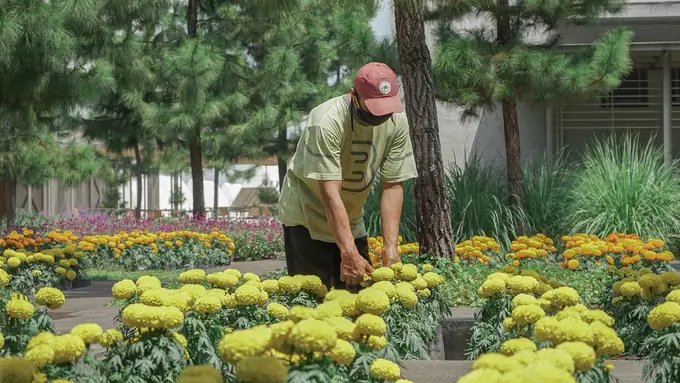 [Fimela] Rumah Atsiri