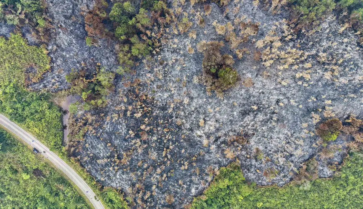 Foto udara ini memperlihatkan lahan yang terdampak kebakaran hutan di Kapuas Hulu, Kalimantan Barat, Jumat, 4 September 2026. (AFP/ Bay Ismoyo)