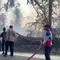 Kebakaran Taman Nasional Bukit Barisan Selatan, 3 Hektare Hutan Hangus