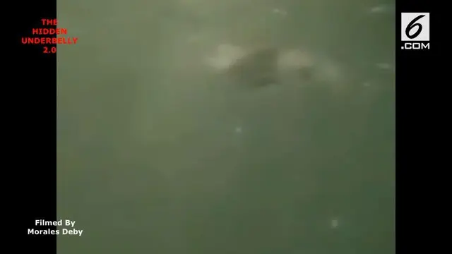 VIDEO: Wow, Sosok 'Putri Duyung' Terekam Kamera Wisatawan