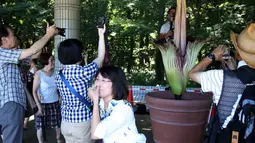 Reaksi seorang wanita terhadap bau bunga Bangkai dari Bengkulu yang mekar di kebun raya Jindai, Tokyo, Jepang, Rabu (22/7/2015). Ratusan orang antre berfoto dan melihat bunga yang hanya sekali mekar antara 5-7 tahun tersebut. (AFP PHOTO/Yoshikazu TSUNO)