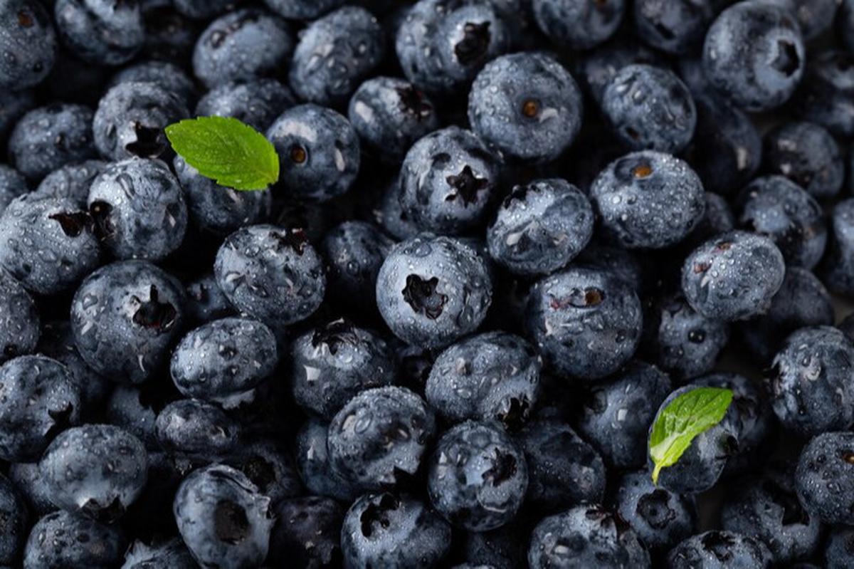 blueberry
