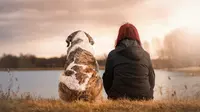 5 Ras Anjing Ini Cocok Dipelihara Keluarga dengan Anak Kecil