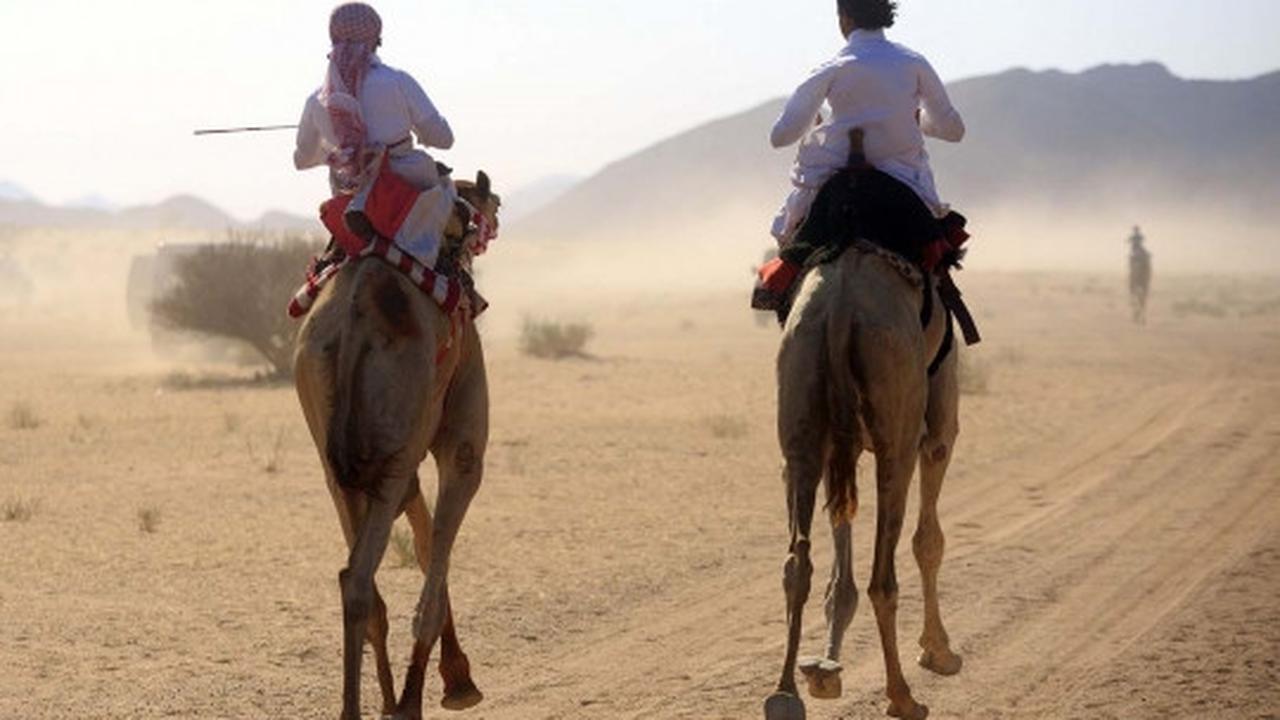 Tradisi balap unta meriahkan Idul Fitri di Arab Saudi
