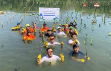 Tahukah Anda? Zurich Tanam Mangrove di 6 Kota Besar, Targetkan 1.500 Pohon untuk Lingkungan dan Emisi