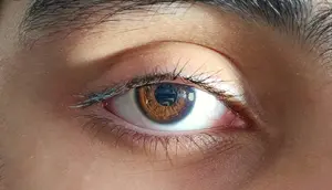Retina dari Orang Meninggal bisa Dihidupkan Kembali untuk Transplantasi Mata