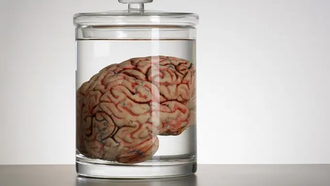 Mengaku Salah, Seorang Pria Mencuri Otak Manusia dan Menjualnya