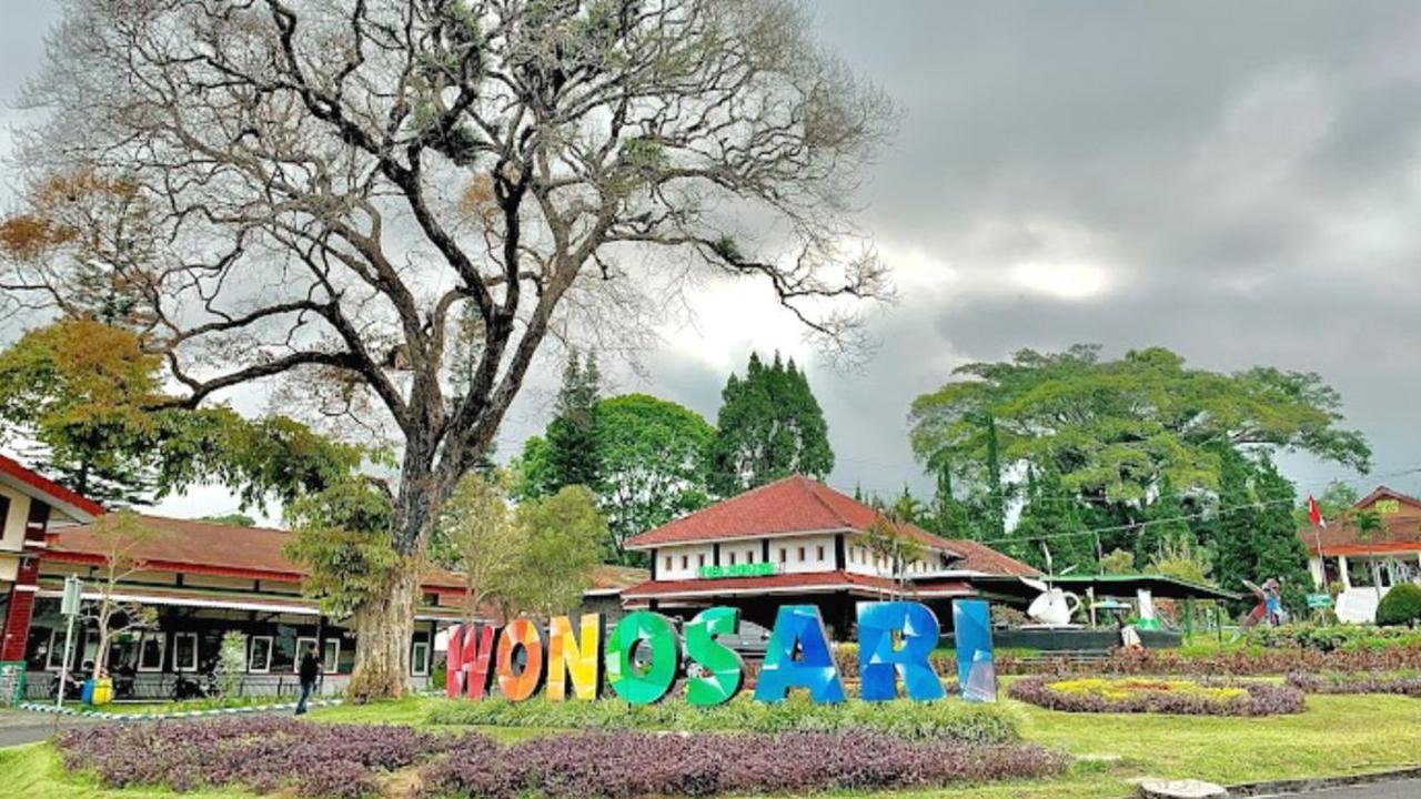 7. Perkebunan Teh Wonosari: Ketenangan di Tengah Hijauan