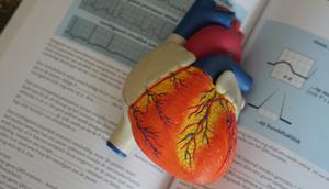 Kolesterol terdiri dari tiga jenis yaitu kolesterol jahat, kolesterol baik, dan trigliserida. Kadar kolesterol tinggi  bisa menyebabkan penyakit jantung (Foto: Unsplash.com/Robina Weermeijer)