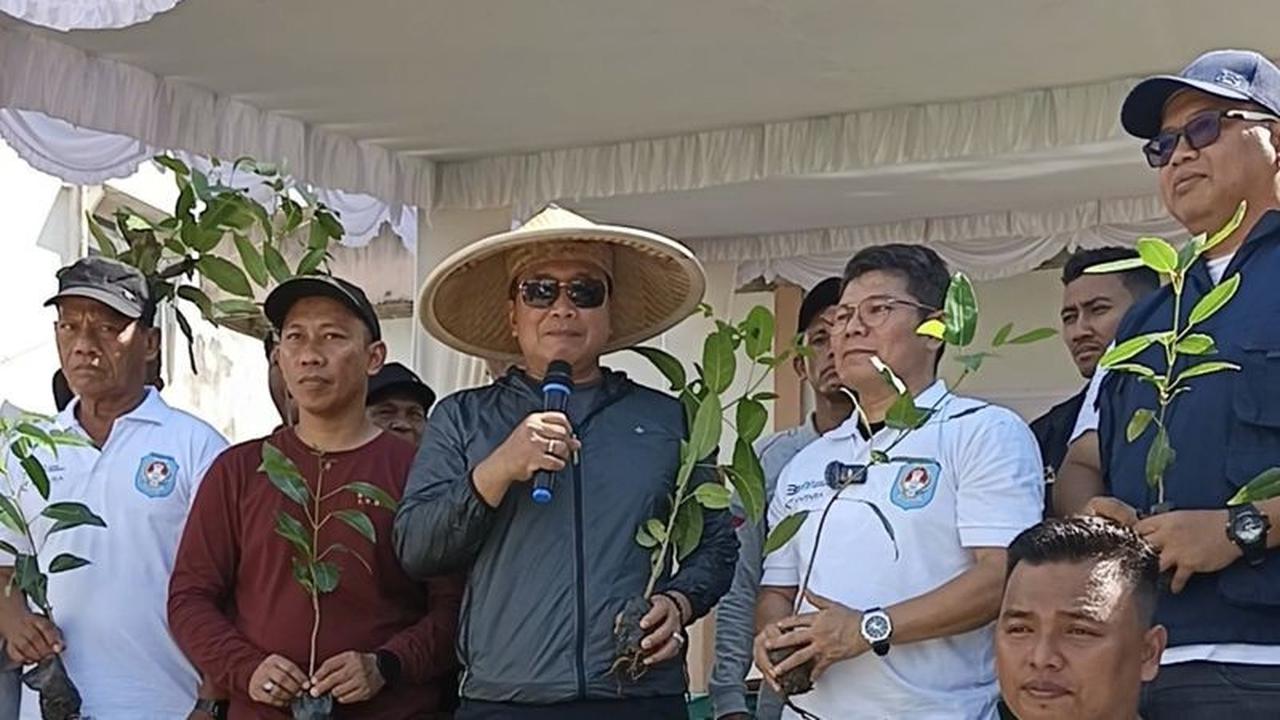 ANTARA Menanam Kubu Raya: Wujudkan Kelestarian Lingkungan dan Harapan Masa Depan