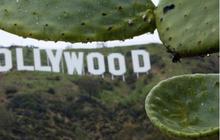 Film Asing Kena Tarif 100%, Trump Sebut Hollywood Sedang Sekarat