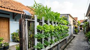 8 Ide Pagar Sayur Depan Rumah yang Estetik dan Bikin Asri