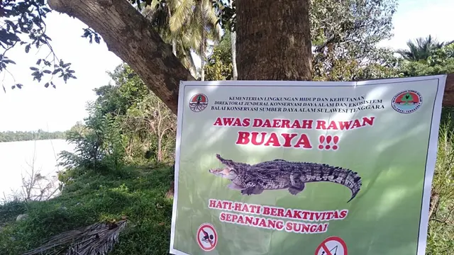 Peringatan yang dipasang BKSDA Sulawesi Tenggara di Sungai lalindu, Konawe Utara agar waspada terhadap buaya.(Liputan6.com/Ahmad Akbar Fua)
