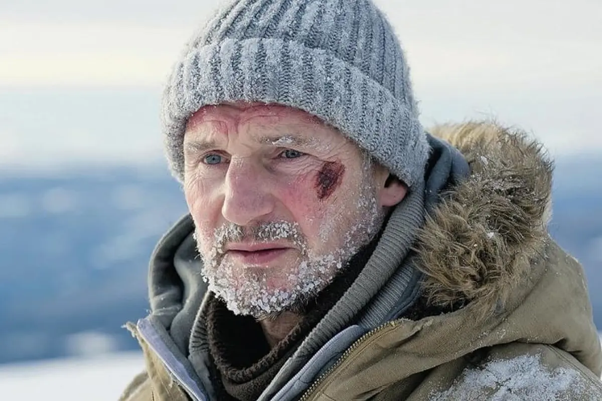 The Grey (2011)