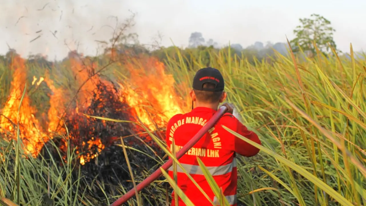 Tim Manggala Agni Daops Tinanggea Konawe Selatan, saat memadamkan api di wilayah pemukiman warga. (Akbar Fua/Liputan6.com)