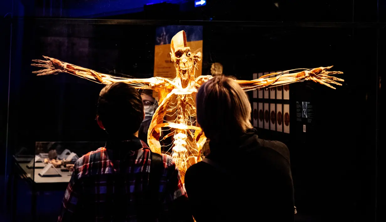 Pengunjung melihat salah satu karya seni yang dipajang dalam pameran anatomi tubuh manusia bertajuk 'Body Worlds' di Moskow, Rusia (24/3/2021). Pameran ini digagas oleh ahli anatomi asal Jerman, Gunther von Hagens. (AFP/Dimitar Dilkoff)
