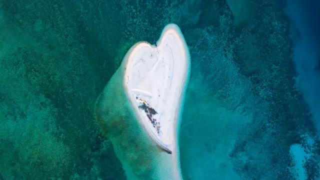 Noko - Bawean