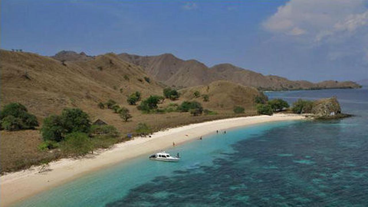 Peneliti: Pulau Komodo rawan privatisasi