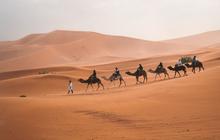 Gurun Sahara Dulu Pernah Hijau, Peneliti Ungkap Kapan dan Penyebabnya