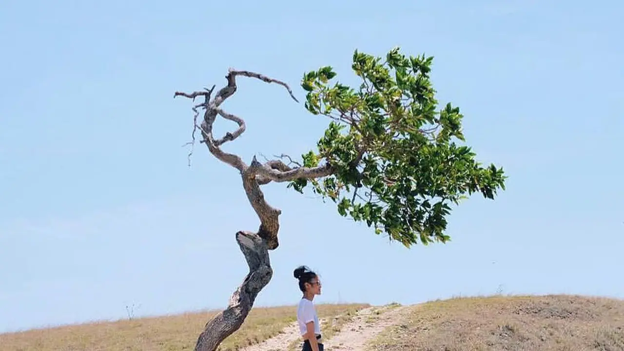 [Bintang] Travel