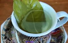Resep Rebusan Daun yang Ampuh Turunkan Kadar Gula Darah yang Tinggi