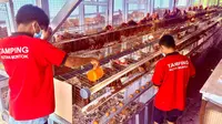 Dari Balik Tembok Rutan Muntok, Warga Binaan Produksi 300 Telur per Hari