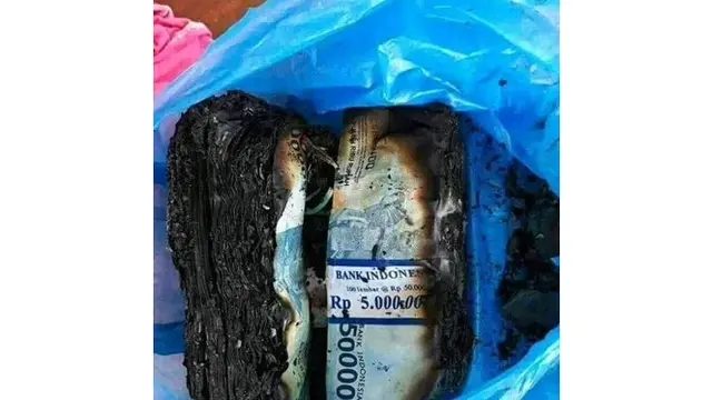 6 Momen Apes saat Nemu Uang Ini Bikin Geregetan