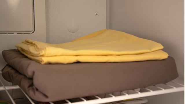 Mengawetkan Foto hingga Jeans, 6 Manfaat Freezer yang Tak Kamu Ketahui
