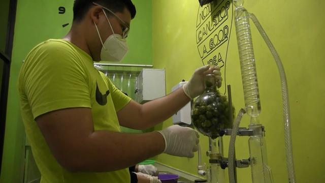 Jhon Membuat Minyak Esensial dari Jeruk Kunci