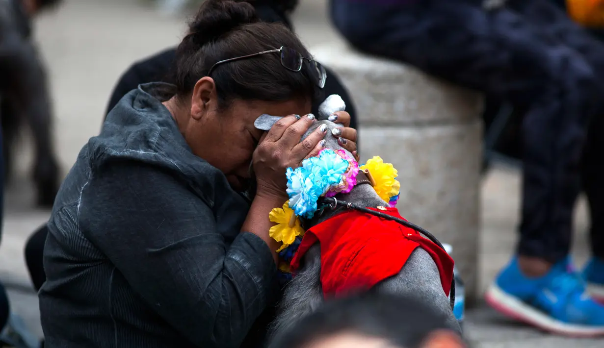 Seorang wanita memeluk anjingnya yang diberikan kalung selama acara "Kukur Tihar" di Mexico City, Minggu (11/11). Kukur Tihar adalah festival Hindu yang dirayakan khusus untuk menghormati anjing. (AP Photo/Claudio Cruz)