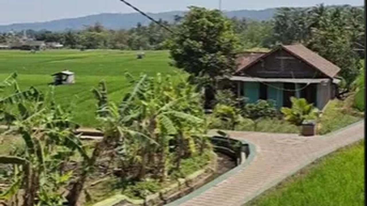 Pujian dari Warganet