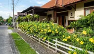 Tanaman alamanda. [AI Generated]