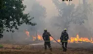 400 Amunisi Perang Dunia II Ditemukan Usai Kebakaran Hutan