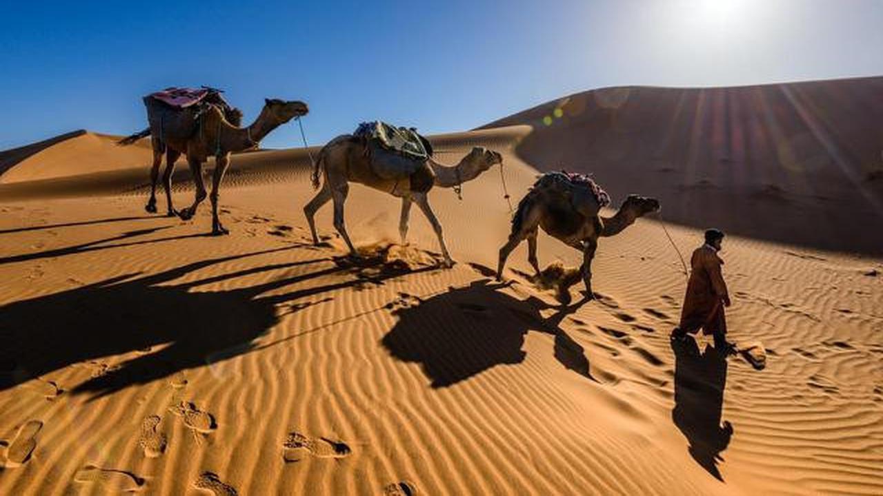 Obati Penyakit Unta dengan Ular Hidup? Ritual Kuno Arab Ini Bikin Merinding