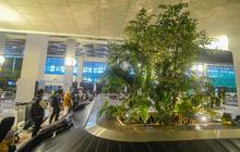 FOTO: Wujudkan Konsep Green Airport, Begini Penampakan Bandara Soekarno-Hatta Dihiasi Pepohonan