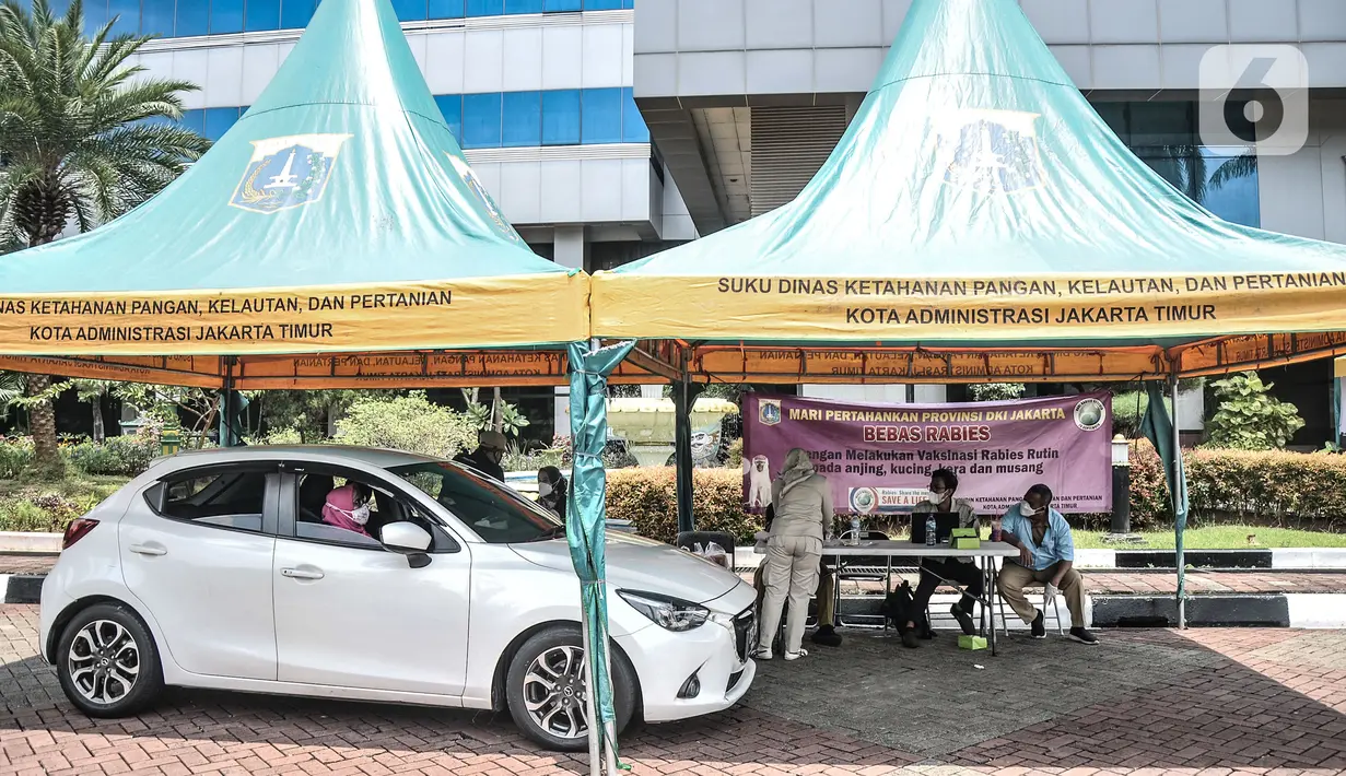 Suasana vaksinasi rabies drive thru yang digelar di halaman Kantor Wali Kota Jakarta Timur, Selasa (28/9/2021). Kegiatan vaksinasi rabies secara drive thru ini bertujuan mencegah kerumunan serta penyebaran virus Covid-19. (merdeka.com/Iqbal S Nugroho)