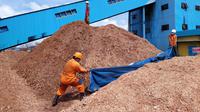 PLN berhasil melakukan uji coba penggunaan 75 persen biomassa Woodchips (kepingan kayu) untuk bahan bakar pengganti batu bara (cofiring) di PLTU Bolok dengan kapasitas 2x16,5 Megawatt (MW) di Kupang, Nusa Tenggara Timur (NTT). (Dok PLN)