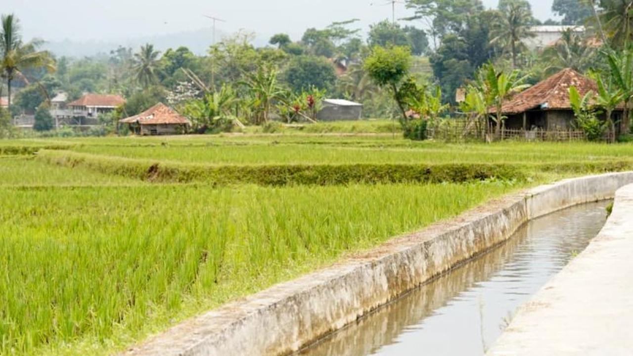 Kementan dan KemenPU Sinergi Optimalkan Pengelolaan Air Antisipasi Kekeringan di Jateng
