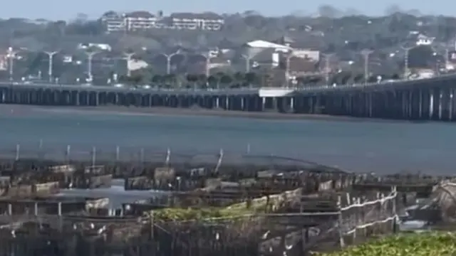 Nasib Taman Mangrove G20 yang Berlokasi di Tengah Laut Pinggir Tol Bali Mandara Tak Lagi Terawat